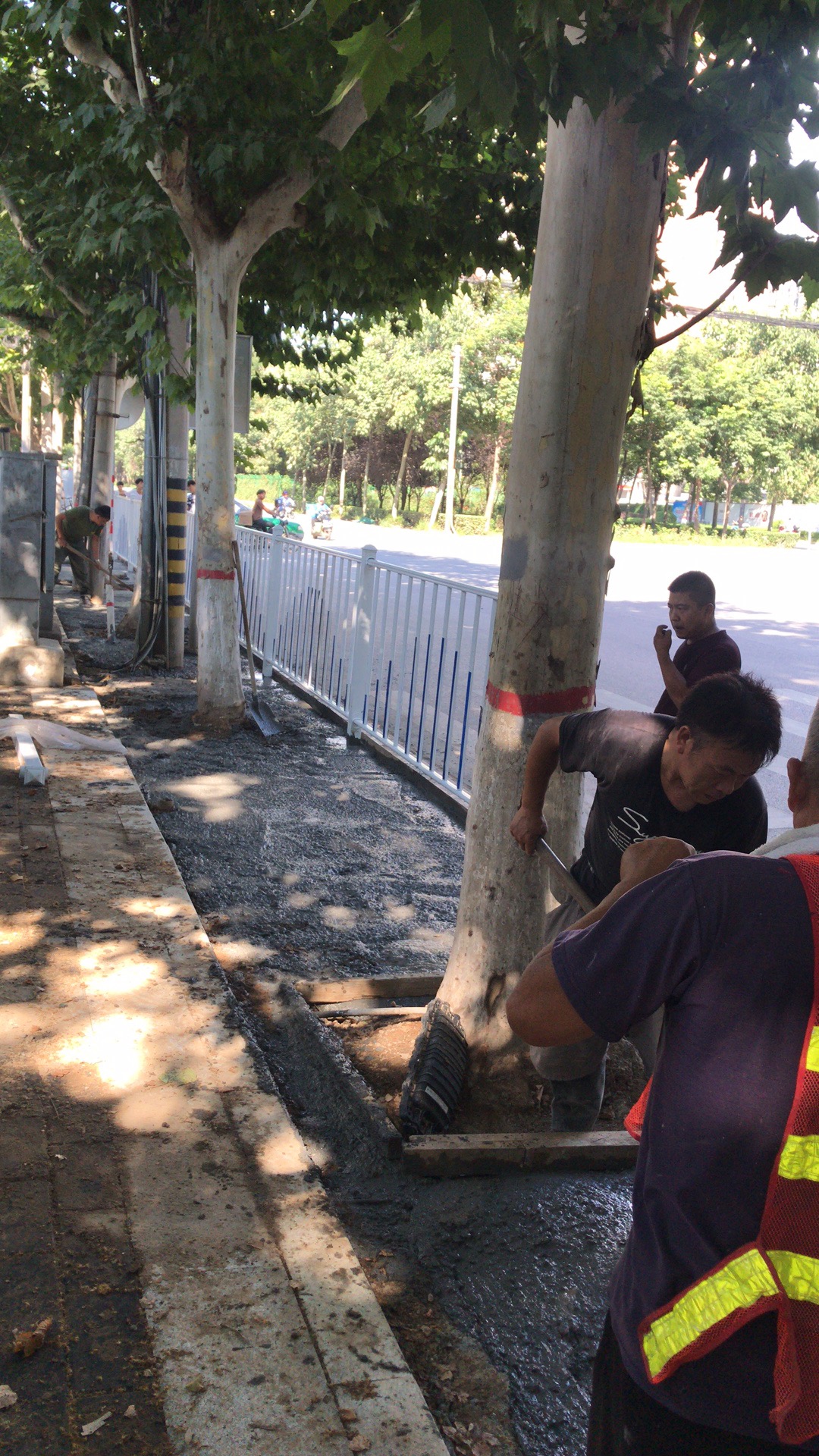 文林路防护栏安装中